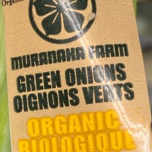 Meet your Posher, Jake